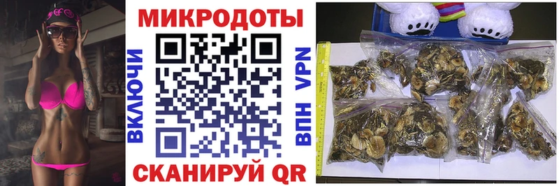 наркотики  Камызяк  Псилоцибиновые грибы Psilocybe 